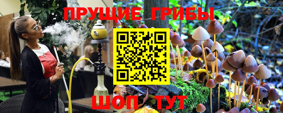 Галлюциногенные грибы MAGIC MUSHROOMS Сокол